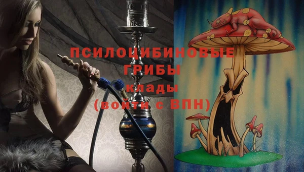 прущая мука Алзамай