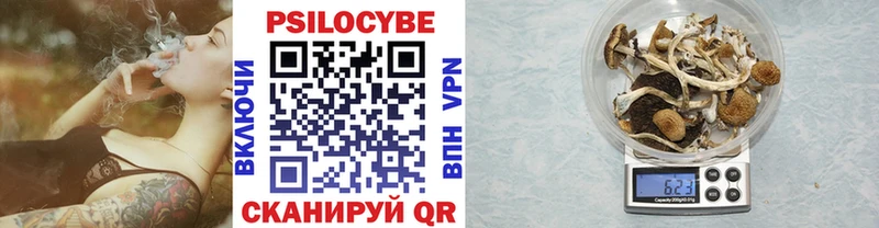 Галлюциногенные грибы GOLDEN TEACHER  mega ССЫЛКА  Злынка 